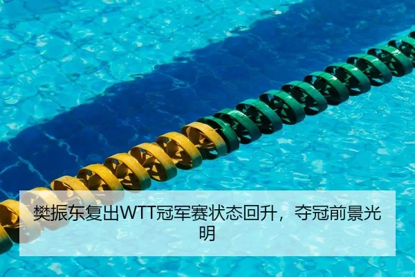 樊振东复出WTT冠军赛状态回升，夺冠前景光明